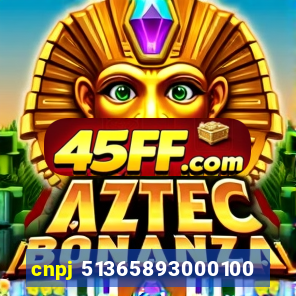cnpj 51365893000100